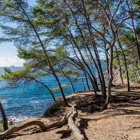 Renove A Deux Pas De La De Sainte Asile A Pin Rolland